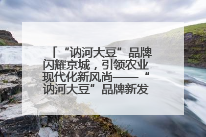 “讷河大豆”品牌闪耀京城，引领农业现代化新风尚——“讷河大豆”品牌新发地推介会圆满落幕