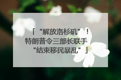 “解放洛杉矶”！特朗普令三部长联手“结束移民暴乱”