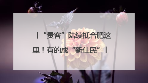 “贵客”陆续抵合肥这里！有的成“新住民”