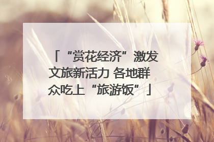 “赏花经济”激发文旅新活力 各地群众吃上“旅游饭”