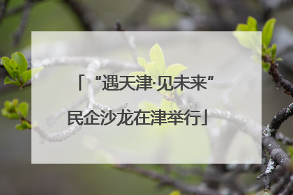 “遇天津·见未来”民企沙龙在津举行