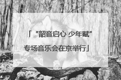 “韶音启心 少年赋”专场音乐会在京举行