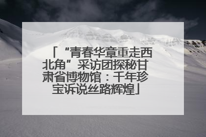 “青春华章重走西北角”采访团探秘甘肃省博物馆：千年珍宝诉说丝路辉煌