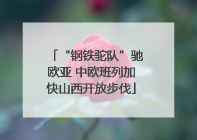“钢铁驼队”驰欧亚 中欧班列加快山西开放步伐