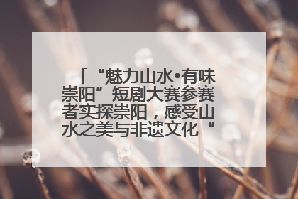 “魅力山水•有味崇阳”短剧大赛参赛者实探崇阳，感受山水之美与非遗文化“提琴戏”魅力