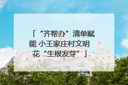 “齐帮办”清单赋能 小王家庄村文明花“生根发芽”