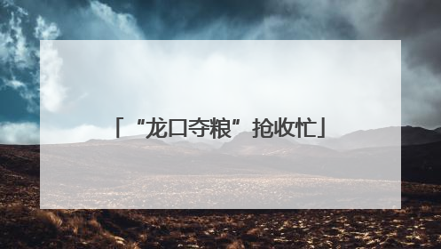 “龙口夺粮”抢收忙