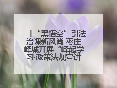 “黑悟空”引法治课新风尚 枣庄峄城开展“峄起学习·政策法规宣讲面对面”活动