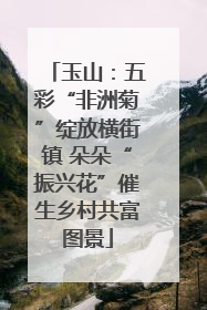 玉山：五彩“非洲菊”绽放横街镇 朵朵“振兴花”催生乡村共富图景