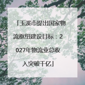 玉溪市提出国家物流枢纽建设目标：2027年物流业总收入突破千亿