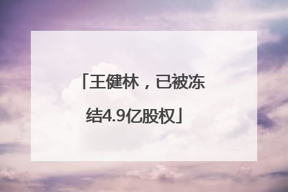 王健林，已被冻结4.9亿股权