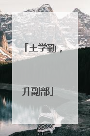 王学勤，升副部