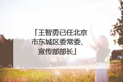 王智勇已任北京市东城区委常委、宣传部部长