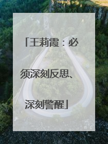 王莉霞：必须深刻反思、深刻警醒