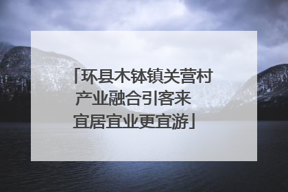 环县木钵镇关营村 产业融合引客来 宜居宜业更宜游