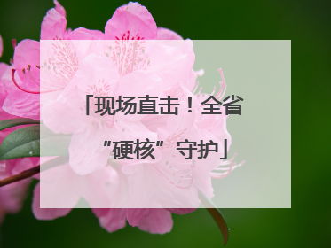 现场直击！全省“硬核”守护
