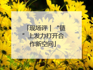 现场评｜“链”上发力打开合作新空间
