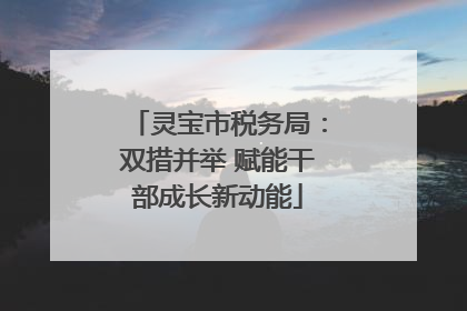 灵宝市税务局：双措并举 赋能干部成长新动能
