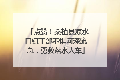 点赞！桑植县凉水口镇干部不惧河深流急，勇救落水人车