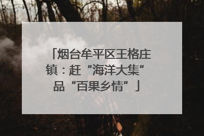 烟台牟平区王格庄镇：赶“海洋大集” 品“百果乡情”
