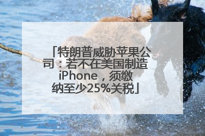 特朗普威胁苹果公司：若不在美国制造iPhone，须缴纳至少25%关税