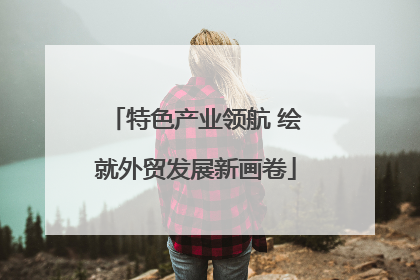 特色产业领航 绘就外贸发展新画卷