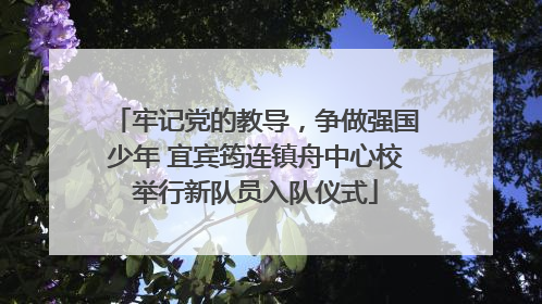 牢记党的教导，争做强国少年 宜宾筠连镇舟中心校举行新队员入队仪式