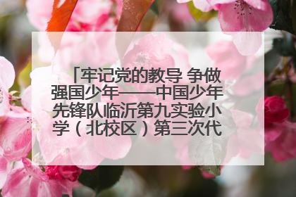 牢记党的教导 争做强国少年——中国少年先锋队临沂第九实验小学（北校区）第三次代表大会胜利召开