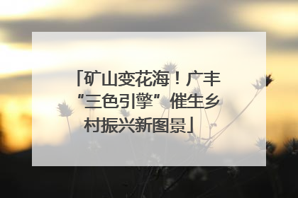 矿山变花海！广丰“三色引擎”催生乡村振兴新图景