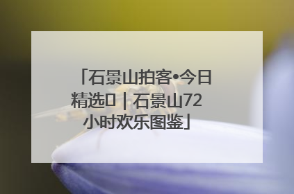石景山拍客•今日精选⑲｜石景山72小时欢乐图鉴