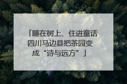 睡在树上、住进童话 四川马边县把茶园变成“诗与远方”