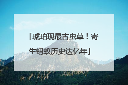 琥珀现最古虫草！寄生蚂蚁历史达亿年