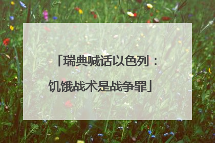 瑞典喊话以色列：饥饿战术是战争罪