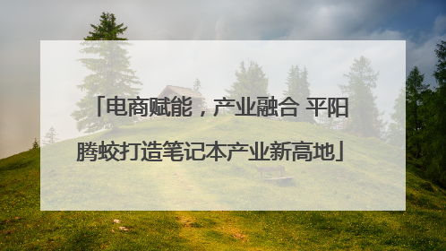 电商赋能，产业融合 平阳腾蛟打造笔记本产业新高地