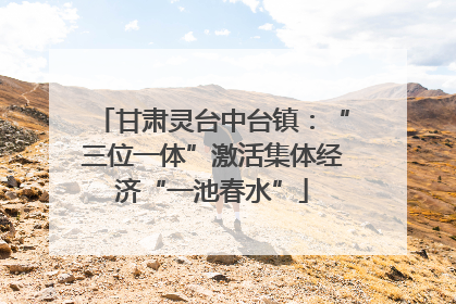 甘肃灵台中台镇：“三位一体”激活集体经济“一池春水”