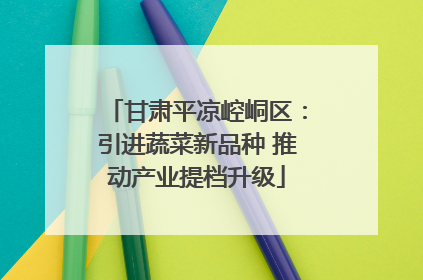 甘肃平凉崆峒区：引进蔬菜新品种 推动产业提档升级