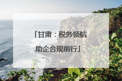 甘肃：税务领航 助企合规前行