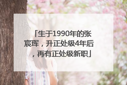 生于1990年的张宸珲，升正处级4年后，再有正处级新职
