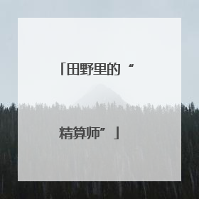 田野里的“精算师”