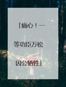 痛心！一等功臣万松因公牺牲