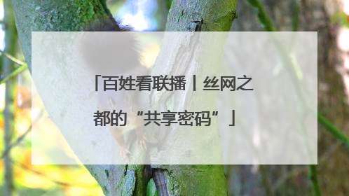 百姓看联播丨丝网之都的“共享密码”