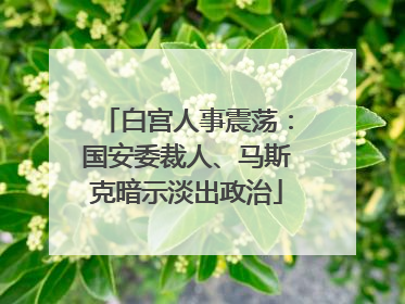 白宫人事震荡：国安委裁人、马斯克暗示淡出政治