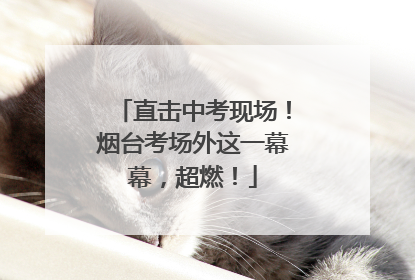 直击中考现场！烟台考场外这一幕幕，超燃！