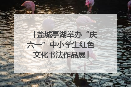 盐城亭湖举办“庆六一”中小学生红色文化书法作品展