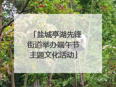盐城亭湖先锋街道举办端午节主题文化活动