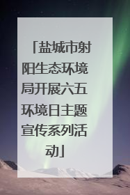 盐城市射阳生态环境局开展六五环境日主题宣传系列活动