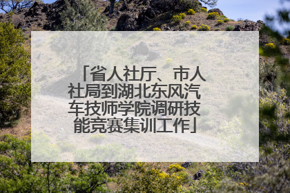 省人社厅、市人社局到湖北东风汽车技师学院调研技能竞赛集训工作
