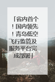 省内首个！国内领先！青岛低空飞行监管及服务平台完成部署