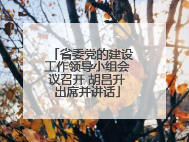 省委党的建设工作领导小组会议召开 胡昌升出席并讲话