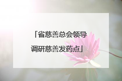 省慈善总会领导调研慈善发药点